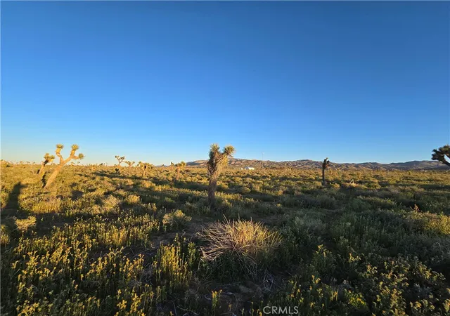 6th image of 55 Japatul Rd, Apple Valley, CA 92308 | MLS# HD26064088