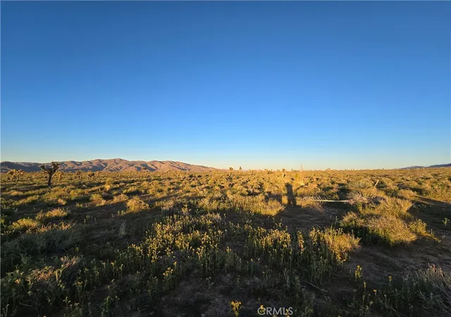 3rd image of 54 Japatul Rd, Apple Valley, CA 92308 | MLS# HD26064272