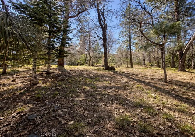 15th image of 0 Oriole Rd, Wrightwood, CA 92397 | MLS# HD26064942