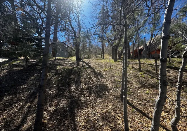 2nd image of 0 Oriole Rd, Wrightwood, CA 92397 | MLS# HD26064942