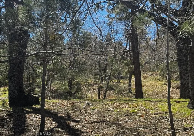 4th image of 0 Oriole Rd, Wrightwood, CA 92397 | MLS# HD26064942