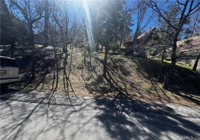 5th image of 0 Oriole Rd, Wrightwood, CA 92397 | MLS# HD26064942