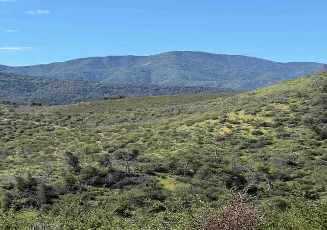 17th image of 109 Trampa Canyon Road, Carmel Valley, CA 93924 | MLS# ML82040307
