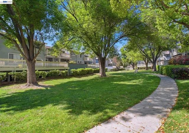 2nd image of 3395 Pinewood Ter, Fremont, CA 94536