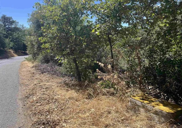 9th image of 0 Whispering Pines Dr, Julian, CA 92036 | MLS# 260007086SD