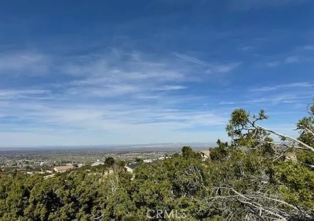 3rd image of 0 Snow Valley Rd, Pinon Hills, CA 92372 | MLS# HD26065642