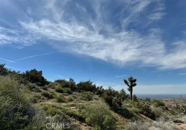 4th image of 0 Snow Valley Rd, Pinon Hills, CA 92372 | MLS# HD26065642