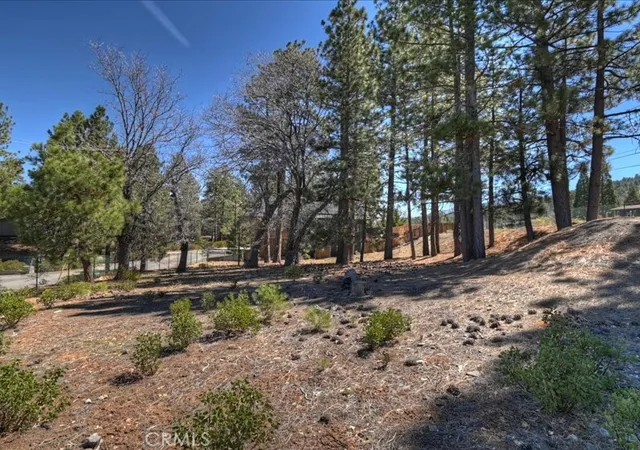 Photo 3 of Land for sale at 41711 Swizterland, Big Bear Lake, CA 92315 | MLS# IG26065923 | Listing updated on 2026-04-01