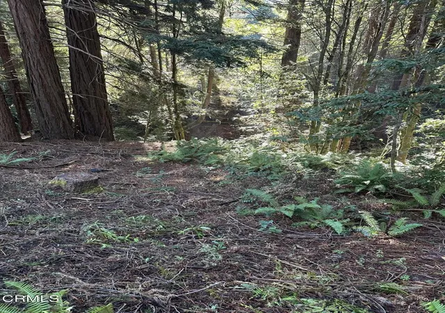 1st image of 17500 Redwood Springs Dr, Fort Bragg, CA 95437 | MLS# C1-11310
