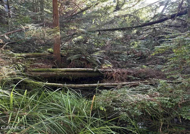 2nd image of 17500 Redwood Springs Dr, Fort Bragg, CA 95437 | MLS# C1-11310
