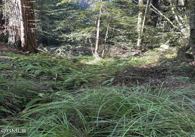 3rd image of 17500 Redwood Springs Dr, Fort Bragg, CA 95437 | MLS# C1-11310