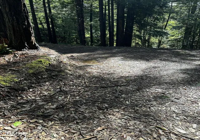 5th image of 17500 Redwood Springs Dr, Fort Bragg, CA 95437 | MLS# C1-11310