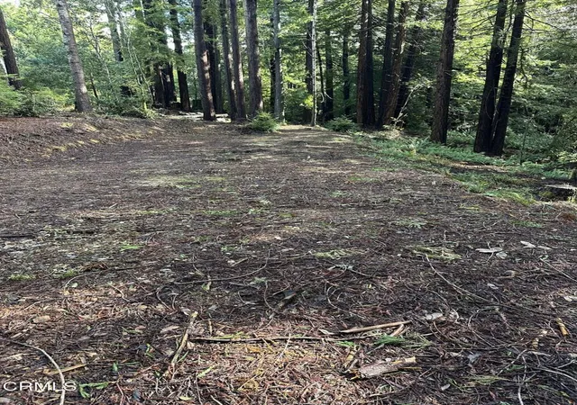 7th image of 17500 Redwood Springs Dr, Fort Bragg, CA 95437 | MLS# C1-11310