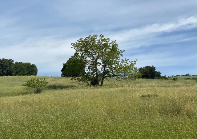 4th image of 4152 E Aborn Rd, San Jose, CA 95135 | MLS# ML82040594