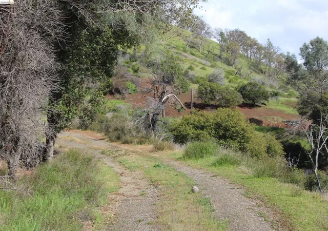 Photo 3 of Land for sale at 12372 Terrace Dr, Clearlake Park, CA 95424 | MLS# 41128947 | Listing updated on 2026-04-03