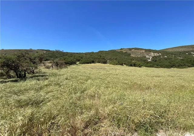 2nd image of 105 Paulsen Rd, Lockwood, CA 93932 | MLS# NS26067309