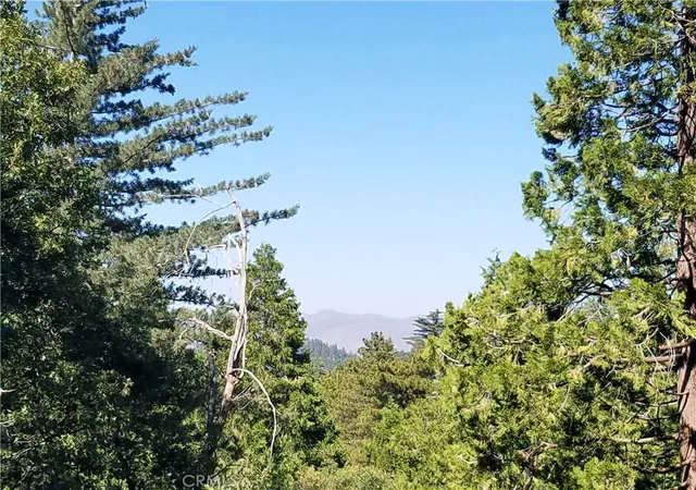 Homes for sale in Twin Peaks, CA | 26236 Boulder Ln, Twin Peaks, CA 92391 | MLS# IG26067533
