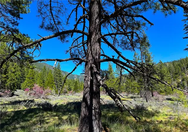 Photo 2 of Land for sale at 79402 State Hwy 3, Trinity Center, CA 96091 | MLS# IV26055564 | Listing updated on 2026-07-02