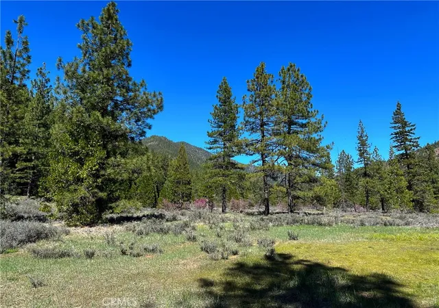 Photo 3 of Land for sale at 79402 State Hwy 3, Trinity Center, CA 96091 | MLS# IV26055564 | Listing updated on 2026-07-02