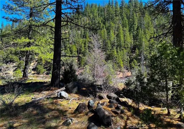 Photo 3 of Land for sale at 79402 State Hwy 3, Trinity Center, CA 96091 | MLS# IV26055564 | Listing updated on 2026-07-02