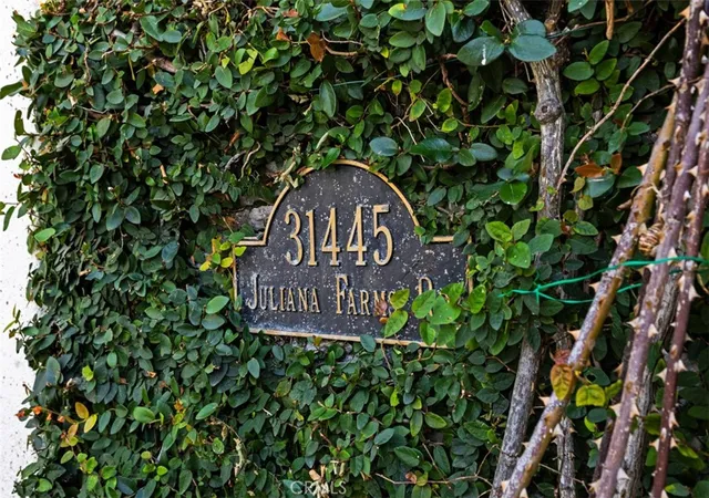 Homes for sale in San Juan Capistrano, CA | 31445 Juliana Farms Road, San Juan Capistrano, CA 92675 | MLS# OC26040072