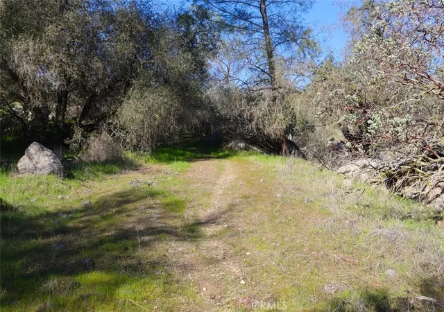Photo 4 of Land for sale at 0 648 Ac Long Holw Dr, Coarsegold, CA 93614 | MLS# FR26068154 | Listing updated on 2026-05-22