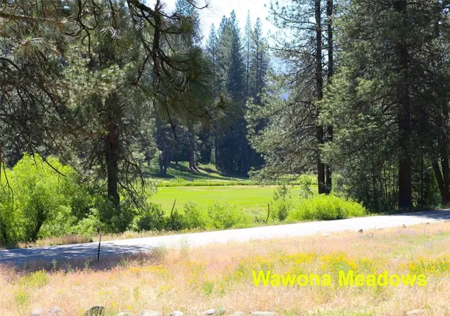 41st image of 2580 River, Yosemite National Park, CA 95389 | MLS# FR26068195