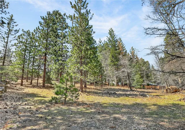Photo 3 of Land for sale at 0 Cepu Rd, Running Springs, CA 92382 | MLS# IG26068173 | Listing updated on 2026-10-07