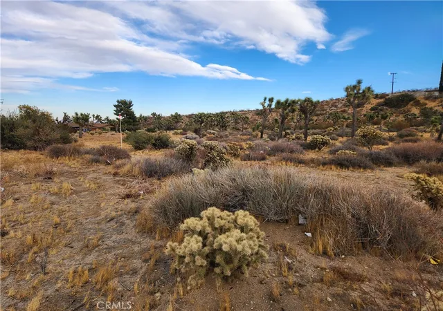 13th image of 164 Joshua Ln, Yucca Valley, CA 92284 | MLS# HD26068436