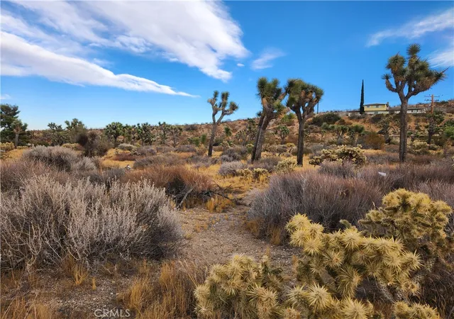 2nd image of 164 Joshua Ln, Yucca Valley, CA 92284 | MLS# HD26068436