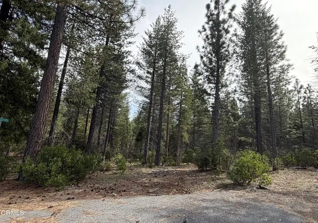 Photo 2 of Land for sale at 1 Kirby Ct, Burney, CA 96013 | MLS# V1-35489 | Listing updated on 2026-03-31