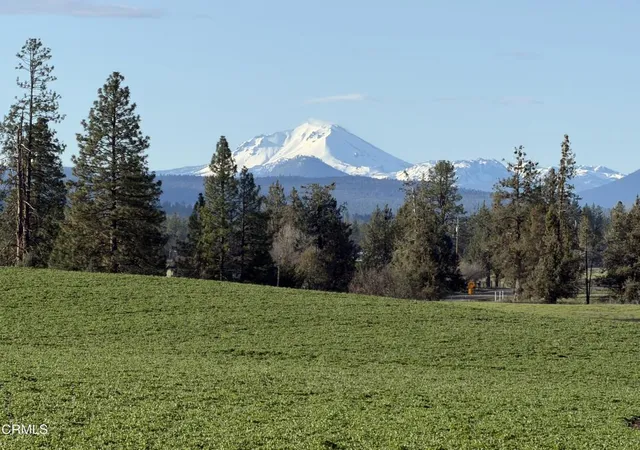 10th image of 3 Kirby Ct, Burney, CA 96013 | MLS# V1-35492