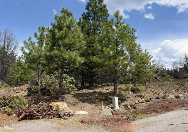 1st image of 3 Kirby Ct, Burney, CA 96013 | MLS# V1-35492
