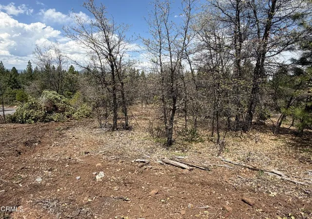 2nd image of 4 Kirby Ct, Burney, CA 96013 | MLS# V1-35495