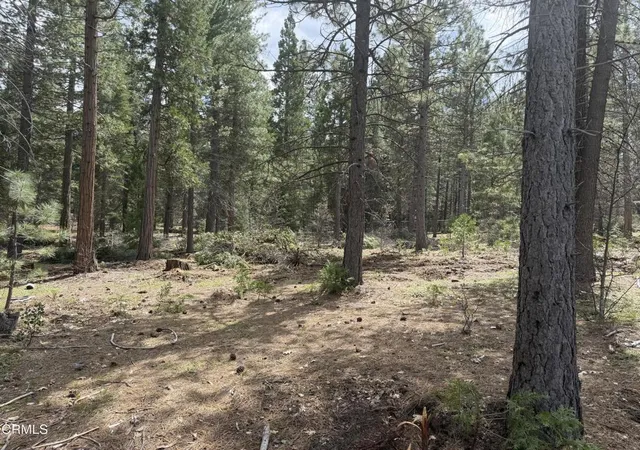 1st image of 16 Kirby Ct, Burney, CA 96013 | MLS# V1-35497