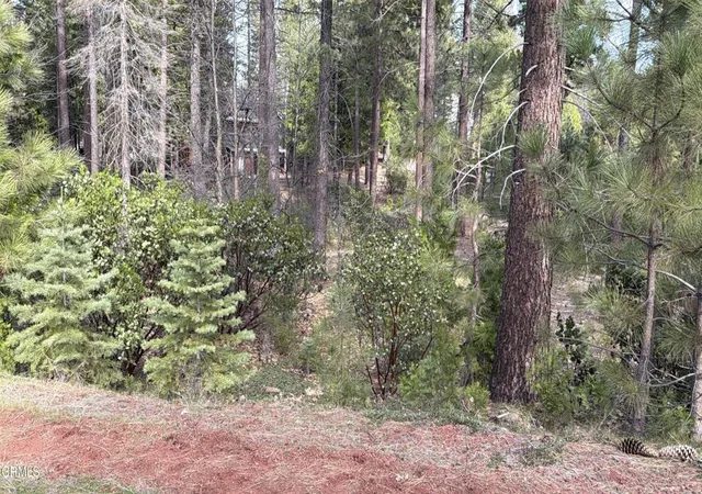 2nd image of 16 Kirby Ct, Burney, CA 96013 | MLS# V1-35497
