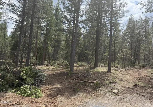 Photo 3 of Land for sale at 16 Chad Ct, Burney, CA 96013 | MLS# V1-35497 | Listing updated on 2026-06-16