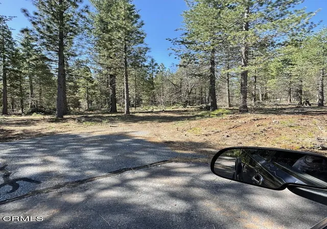 Photo 3 of Land for sale at 16 Chad Ct, Burney, CA 96013 | MLS# V1-35497 | Listing updated on 2026-06-16
