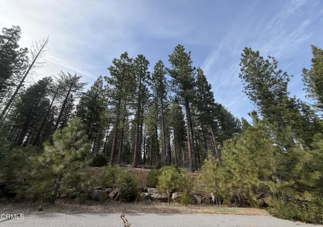 Photo 4 of Land for sale at 16 Chad Ct, Burney, CA 96013 | MLS# V1-35497 | Listing updated on 2026-06-16