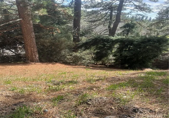 Homes for sale in Cedarpines Park, CA | 0 Fern Canyon, Cedarpines Park, CA 92322 | MLS# CV26069187