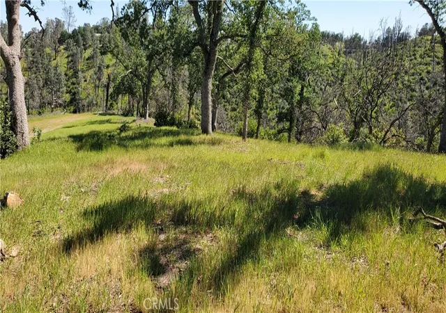 12th image of 15687 Stagecoach, Corning, CA 96021 | MLS# SN26069342