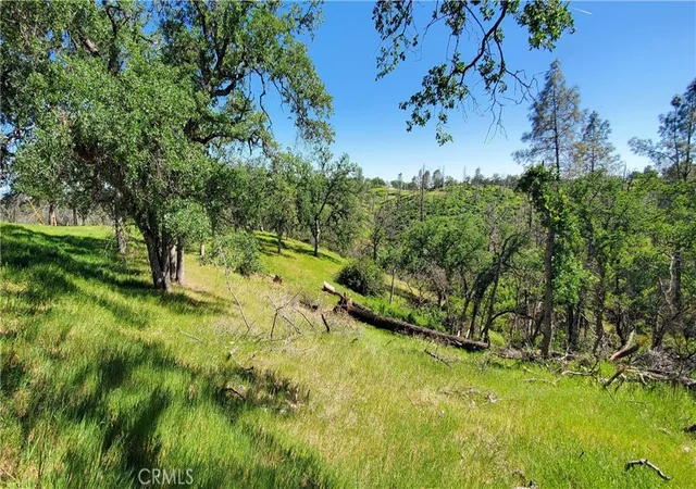 1st image of 15687 Stagecoach, Corning, CA 96021 | MLS# SN26069342