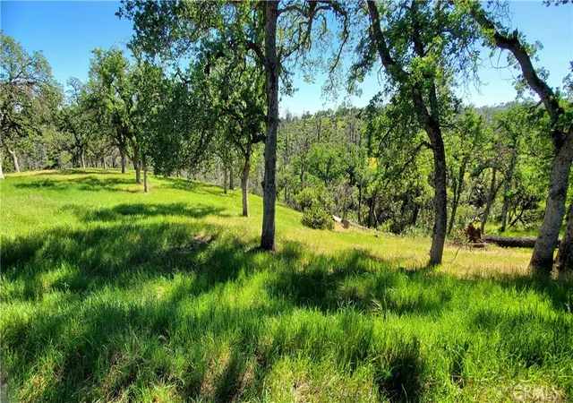 3rd image of 15687 Stagecoach, Corning, CA 96021 | MLS# SN26069342