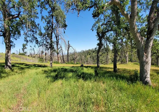 5th image of 15687 Stagecoach, Corning, CA 96021 | MLS# SN26069342