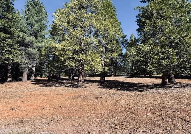 2nd image of 806 Red River Dr, Lake Almanor, CA 96137 | MLS# ML82041055