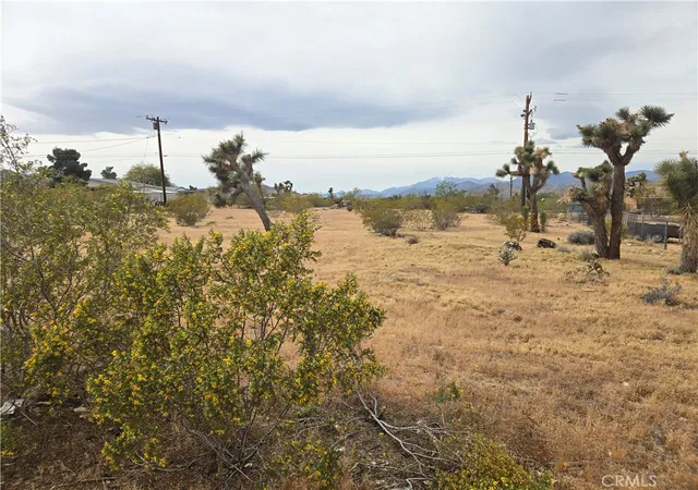1st image of 7414 Alaba, Yucca Valley, CA 92284 | MLS# JT26066895