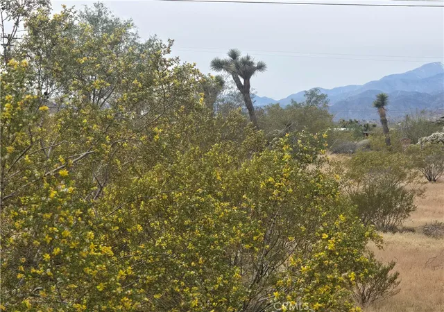 Photo 4 of Land for sale at 7414 Alaba Ave, Yucca Valley, CA 92284 | MLS# JT26066895 | Listing updated on 2026-04-03