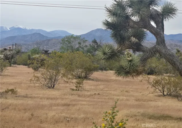 6th image of 7414 Alaba, Yucca Valley, CA 92284 | MLS# JT26066895