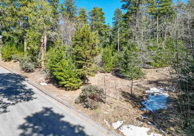 1st image of 0 Laurel Trail Lot 8, Idyllwild, CA 92549 | MLS# 260007538SD