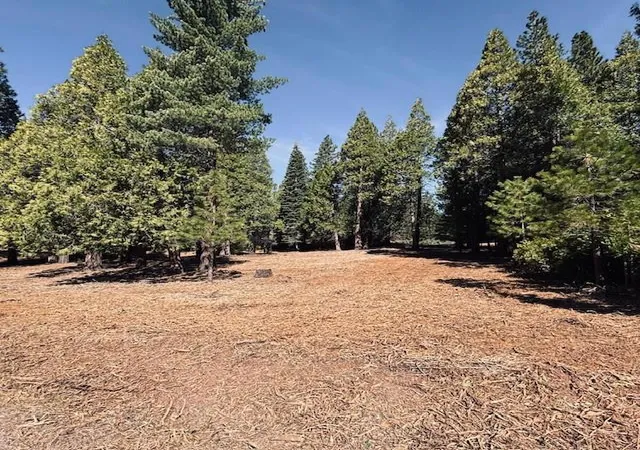 1st image of 790 Red River Dr, Lake Almanor, CA 96137 | MLS# ML82041083